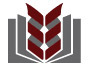 Texas A&M Health Science Center Diploma Frames