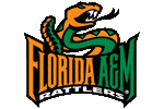 Florida A&M University (FAMU) Diploma Frames