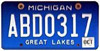 Michigan Colleges Diploma Frames