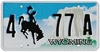 Wyoming Colleges Diploma Frames
