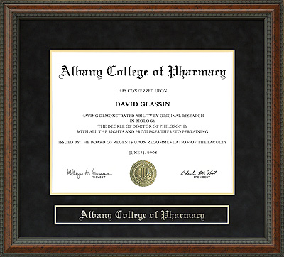 Albany College of Pharmacy (ACP) Diploma Frame