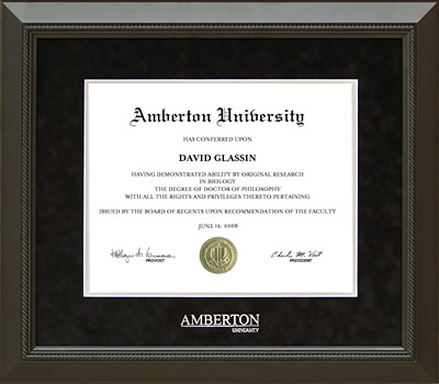 Amberton University Classic Frame in Black Suede