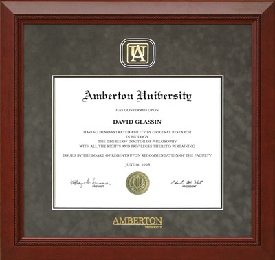 Amberton University Designer Frame in Grey Suede