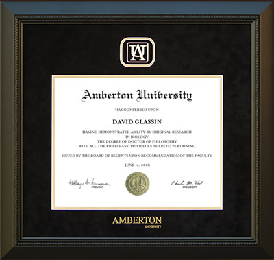 Amberton University Designer Frame