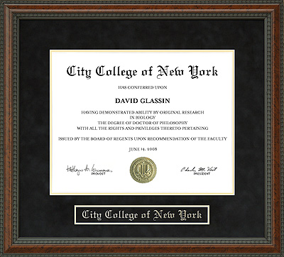 City College of New York (CCNY) Diploma Frame