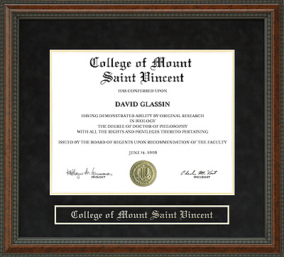 College of Mount Saint Vincent Diploma Frame