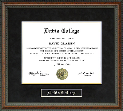 Davis College Diploma Frame