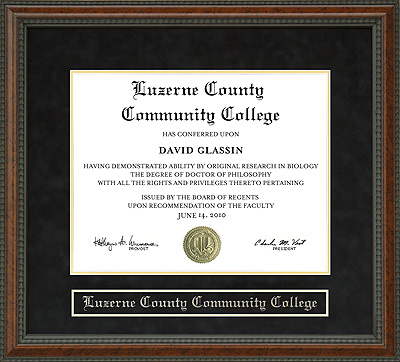 Luzerne County Community College Diploma Frame