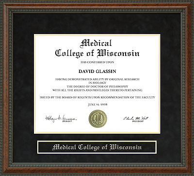 Medical College of Wisconsin (MCW) Diploma Frame