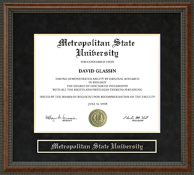 Metropolitan State University Diploma Frame