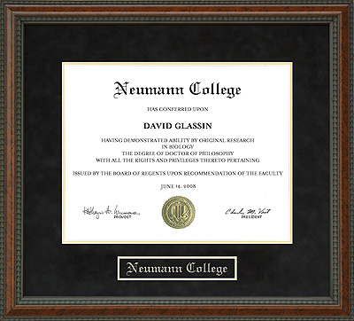 Neumann College Diploma Frame