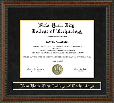 New York City College of Technology (City Tech) Diploma Frame