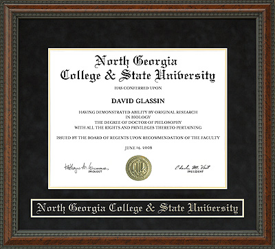 North Georgia College & State University (NGCSU) Diploma Frame