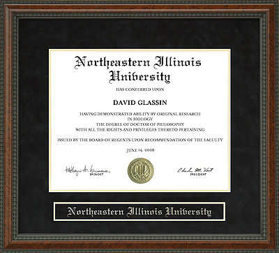 Northeastern Illinois University (NEIU) Diploma Frame