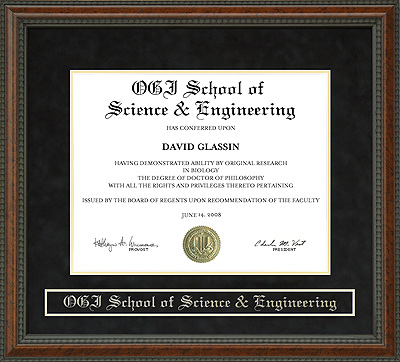 OGI School of Science & Engineering Diploma Frame