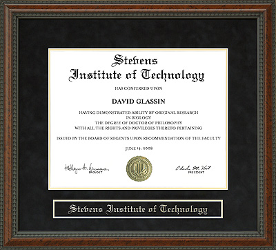 Stevens Institute of Technology Diploma Frame