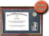 Texas A&M University - Commerce Grey Suede Diploma Frame with Cherry Molding