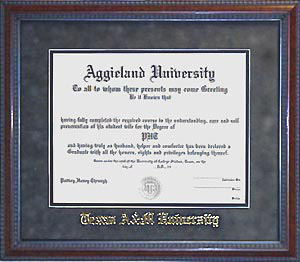 Texas A&M Diploma Frame with Grey Suede Mat & Gold Embossing