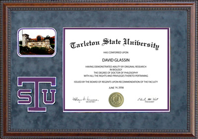 Tarleton State University Diploma Frame with Bevel Cut Logo