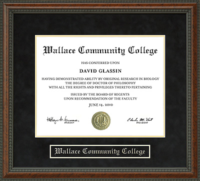 Wallace Community College Diploma Frame