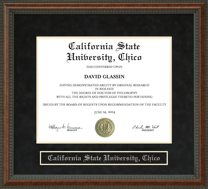 Chico State Diploma Frame Wordyisms