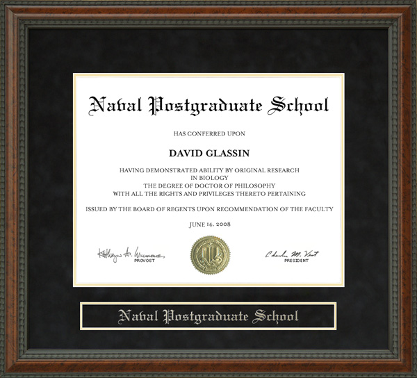 Naval Postgraduate School NPS Diploma Frame Wordyisms