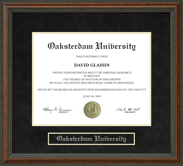 OAKSTERDAM University Diploma Frame: Wordyisms