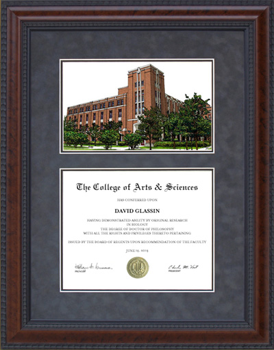 DePaul University Diploma Frame with Campus Lithograph