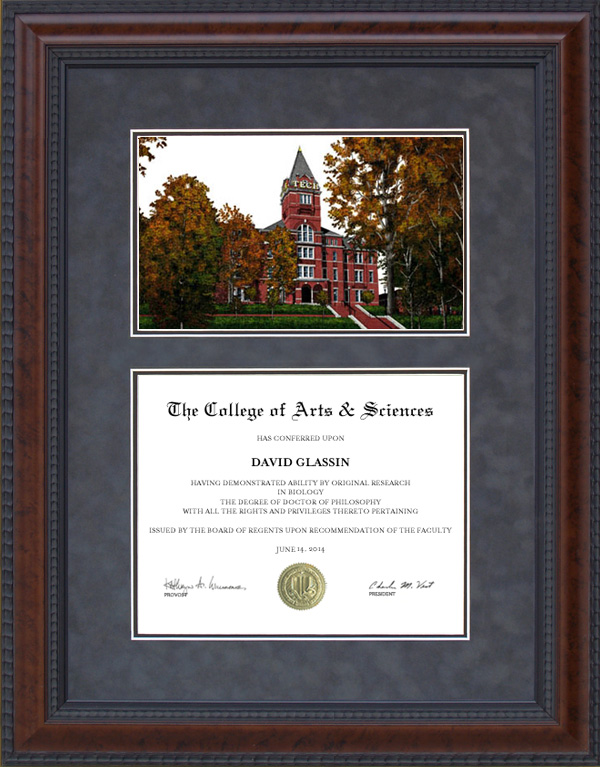 Diploma Frame with Licensed Tech Campus Lithograph Wordyisms