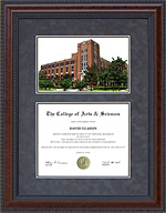 DePaul University Diploma Frame with Campus Lithograph