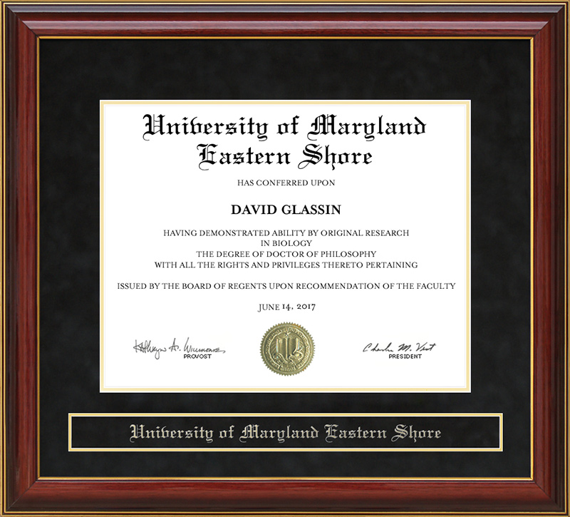 university of maryland eastern shore application essay university of maryland eastern shore application essay