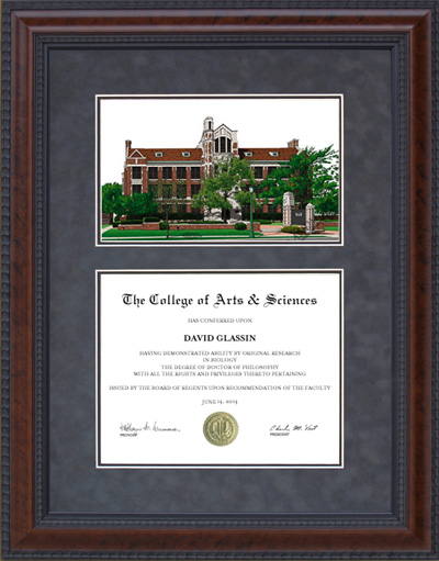 National-Louis University (NLU) Diploma Frame with Campus Lithograph