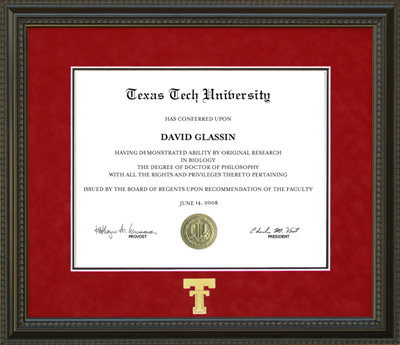 Texas Tech Diploma Frame in Red Suede Mat, Gold Embossed Double T