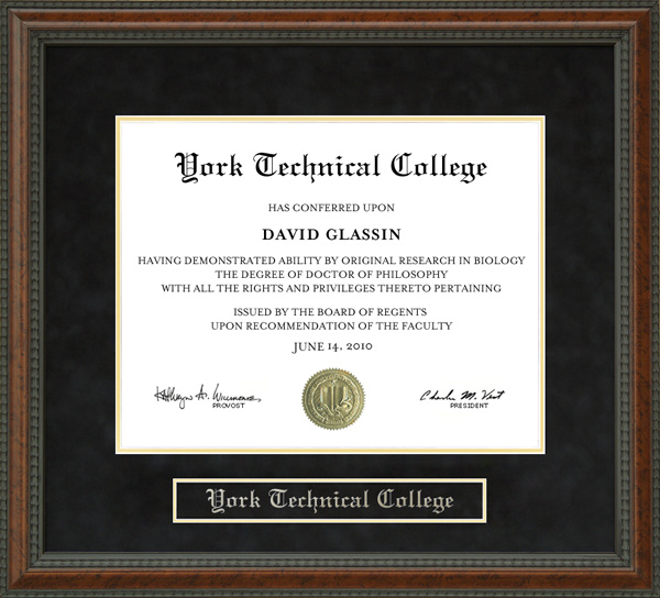 York Technical College (York Tech) Diploma Frame Wordyisms