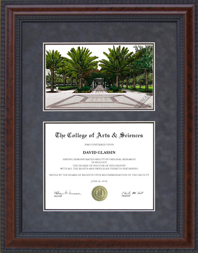 University of South Florida (USF) Diploma Frame with Campus Lithograph