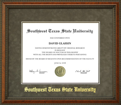 SWT Diploma Frame with Gold Embossed Suede Mat