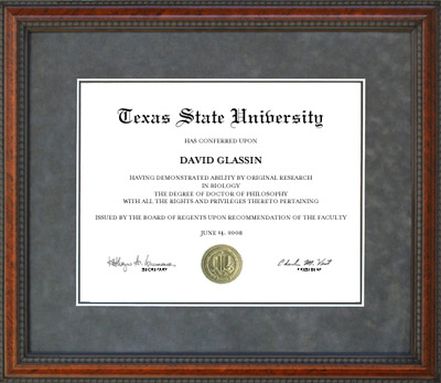 Texas State Diploma Frame with Grey Suede Mat