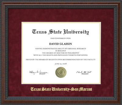 Texas State Diploma Frame with Embossed Suede Mat