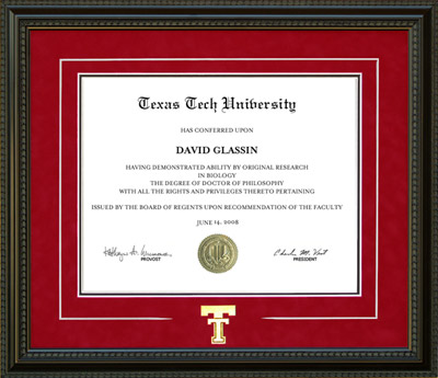 Texas Tech Diploma Frame with Bevel Mat Accent