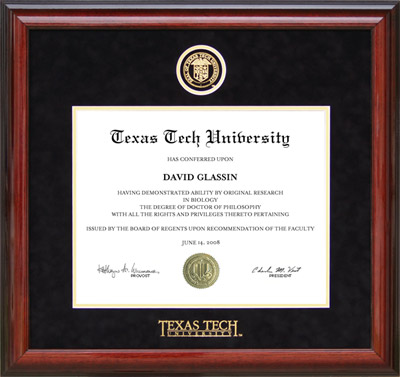Texas Tech Designer Diploma Frame in Black Suede