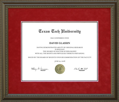 Texas Tech Diploma Frame with Red Suede Mat
