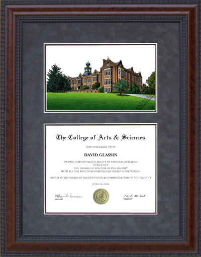 Towson University Diploma Frame with Campus Lithograph
