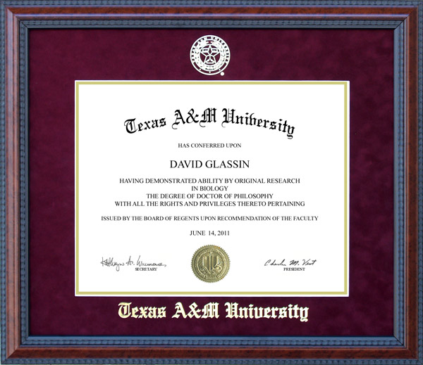 Texas A&M University (TAMU) School Seal Frame Wordyisms