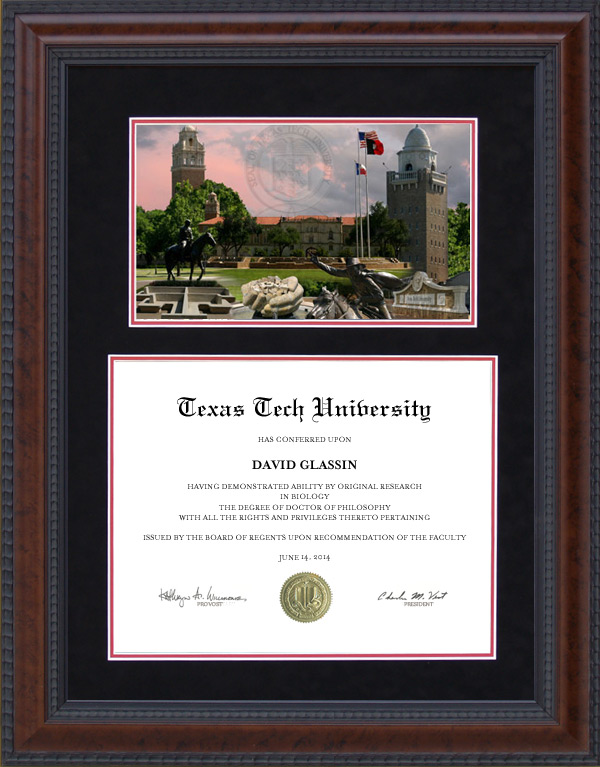 Texas Tech Diploma Frame with Suede Mat and Campus Photo Wordyisms