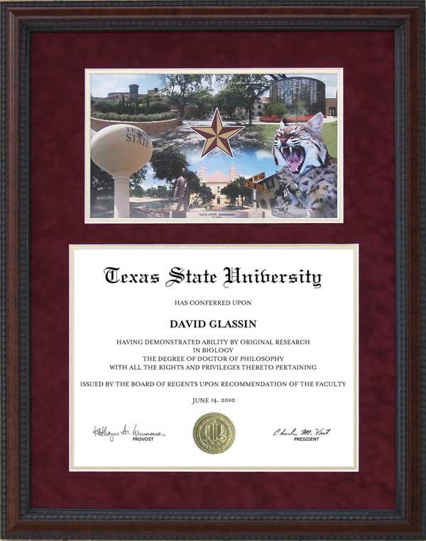 texas state diploma frame with campus montage wordyisms