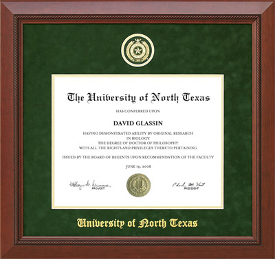 UNT Designer Frame in Shamrock Green Suede