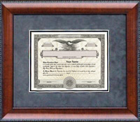 Award and Certificate Frame