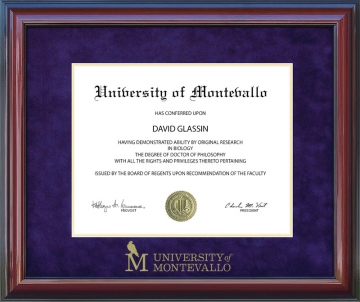 University of Montevallo Diploma Frame