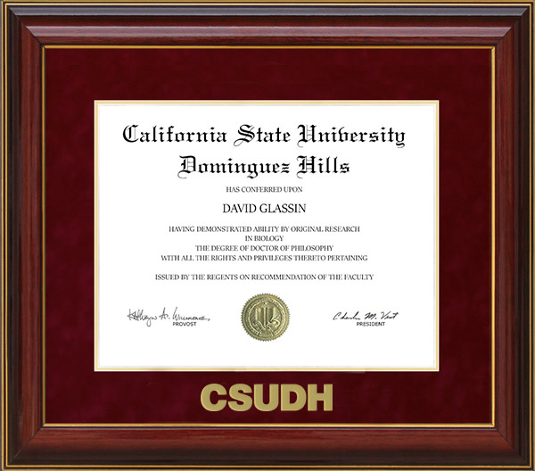 CSUDH Diploma Frame with Embossed UltraSuede Matting