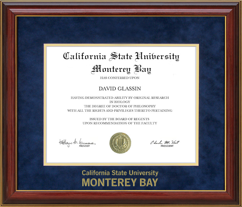 California State University Monterey Bay (CSUMB) Diploma Frame with Embossed UltraSuede Matting